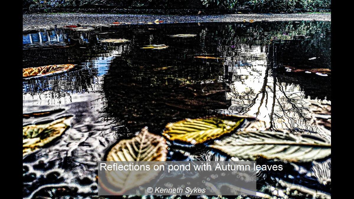 14_Reflections on pond with Autumn leaves_Kenneth Sykes